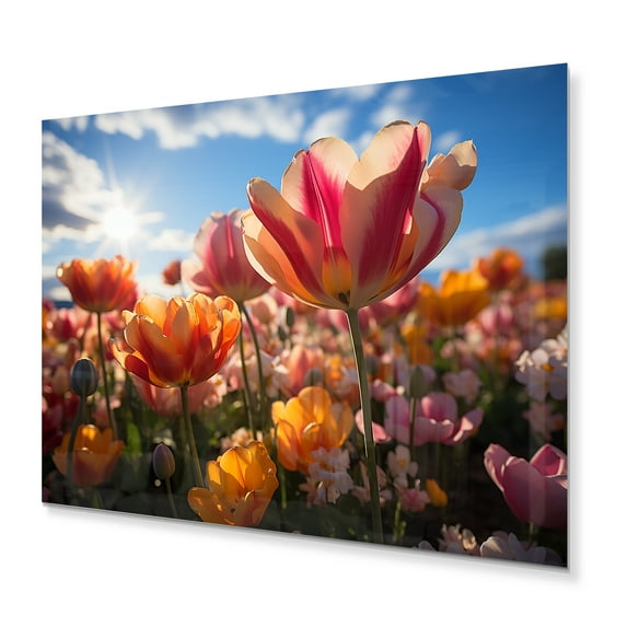 Designart "Denmark Multicolor Tulip landscapes III" Floral Metal Art Print