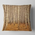 thumbnail image 1 of Designart Dense Birch Forest in the Fall - Forest Throw Pillow - 16x16, 1 of 4