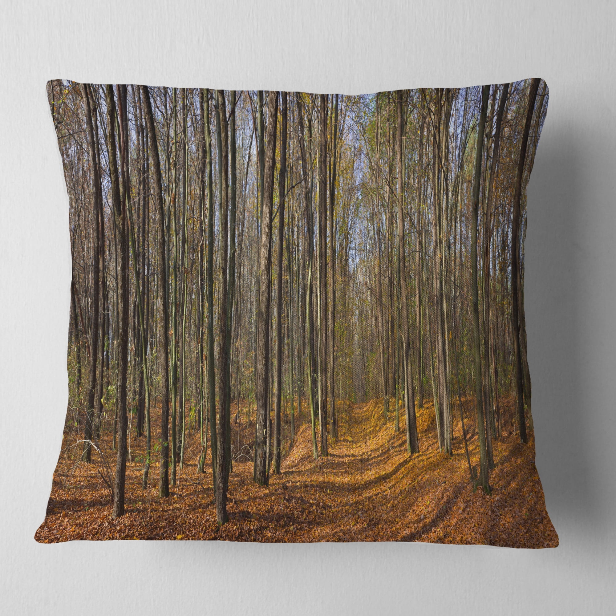 Designart Dense Fall Forest Panorama - Forest Throw Pillow - 18x18