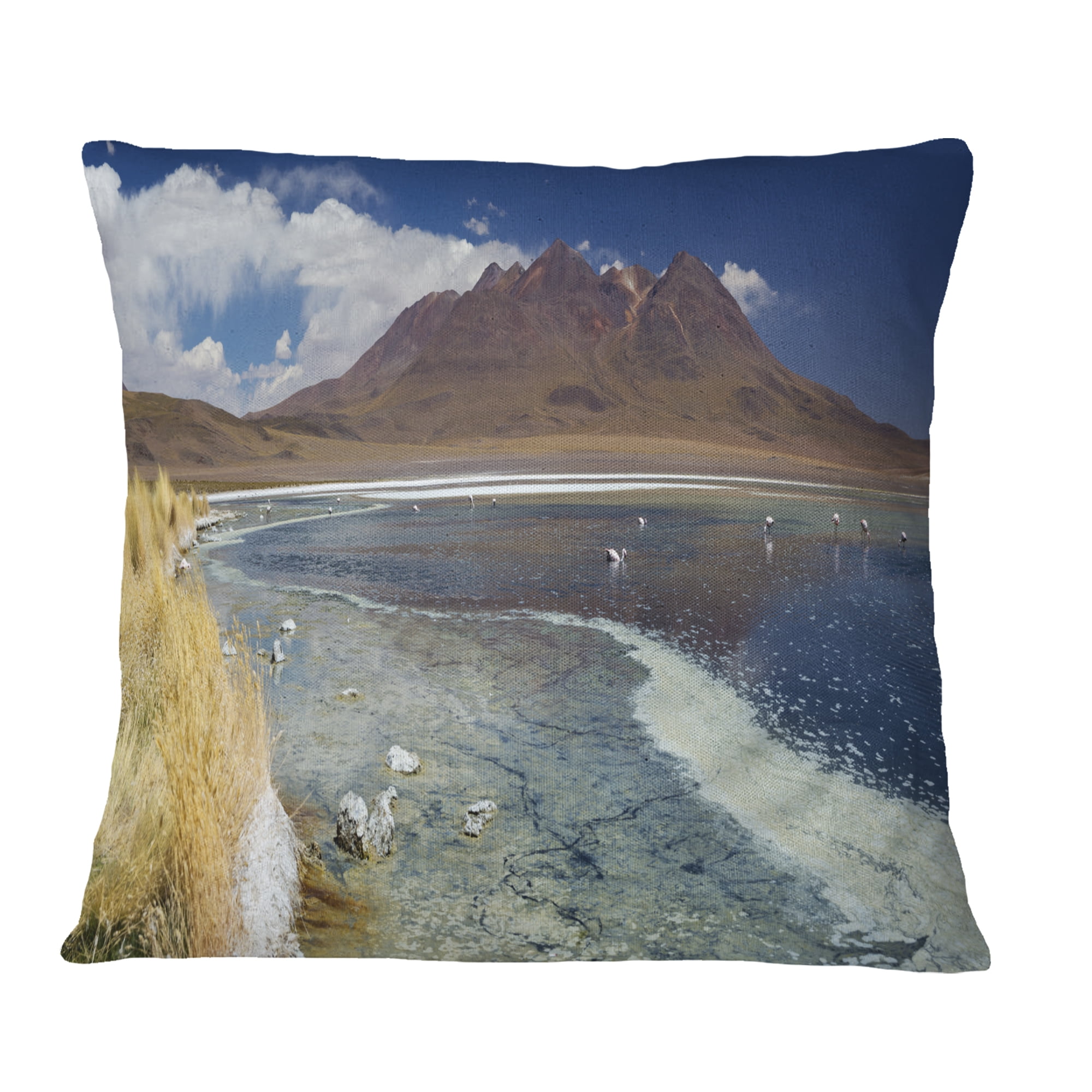 Designart Desert Lake Laguna Canapa on Sunny Day - Modern Seashore Throw Pillow - 16x16