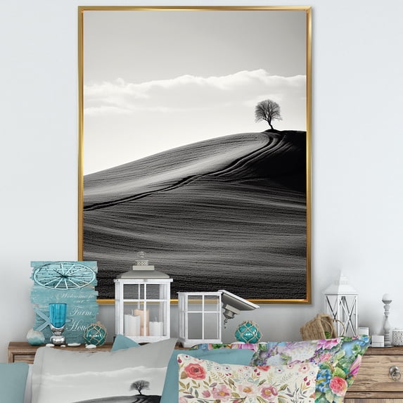 Designart "Desert Scenery In Black And White" Meadow Floater Framed Canvas Prints
