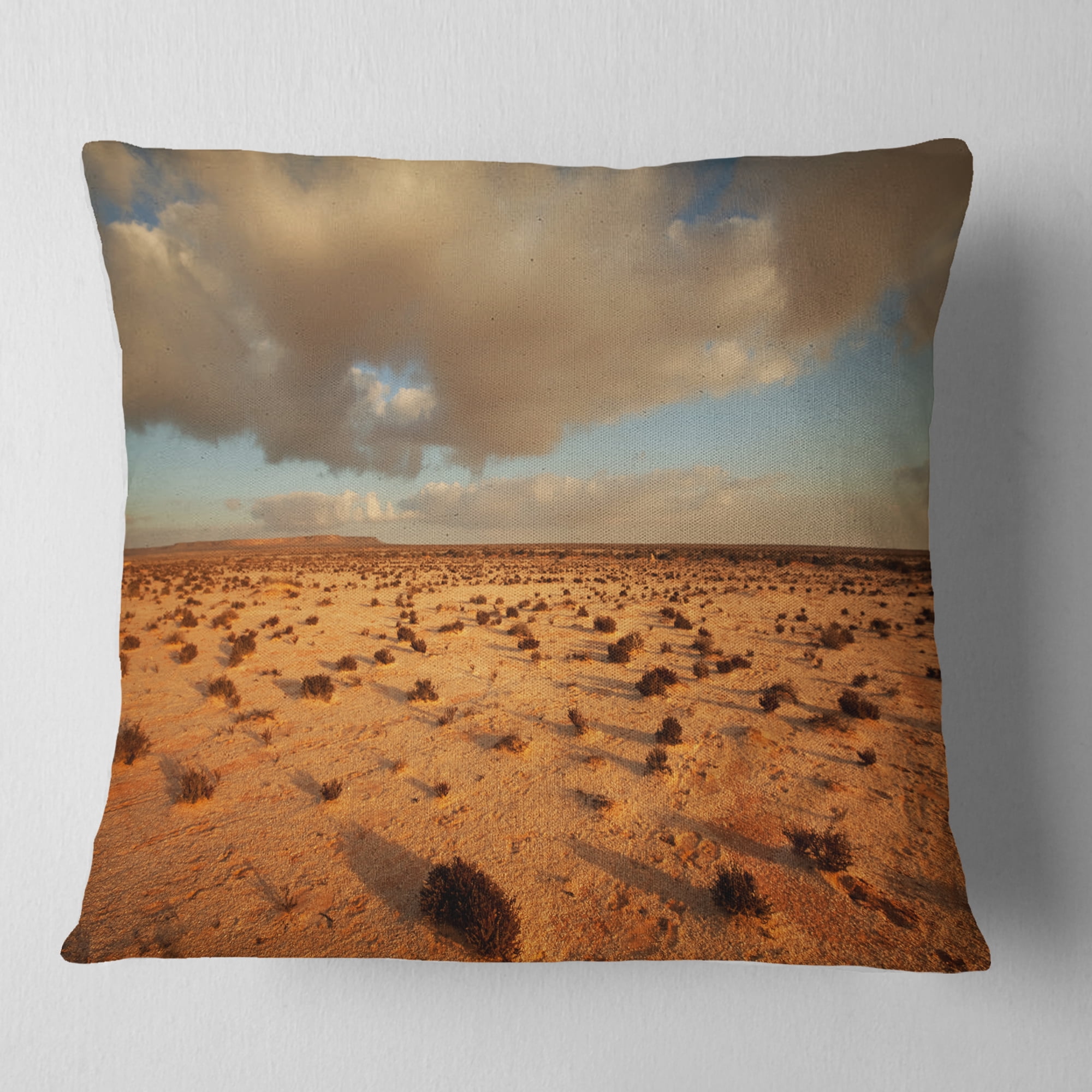 Designart Desert in Western Sahara - Landscape Printed Throw Pillow - 16x16