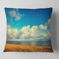 thumbnail image 1 of Designart Deserted Brown Sea Coastline - Landscape Printed Throw Pillow - 16x16, 1 of 4