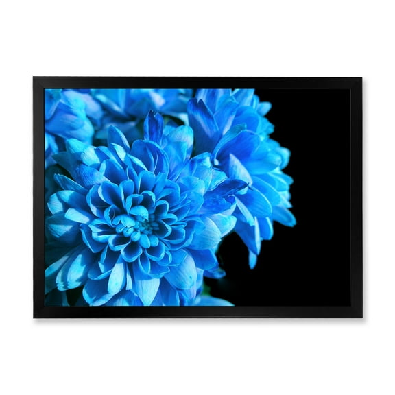 Designart 'Detail of Blue Flowers On Black Background I' Traditional Framed Art Print