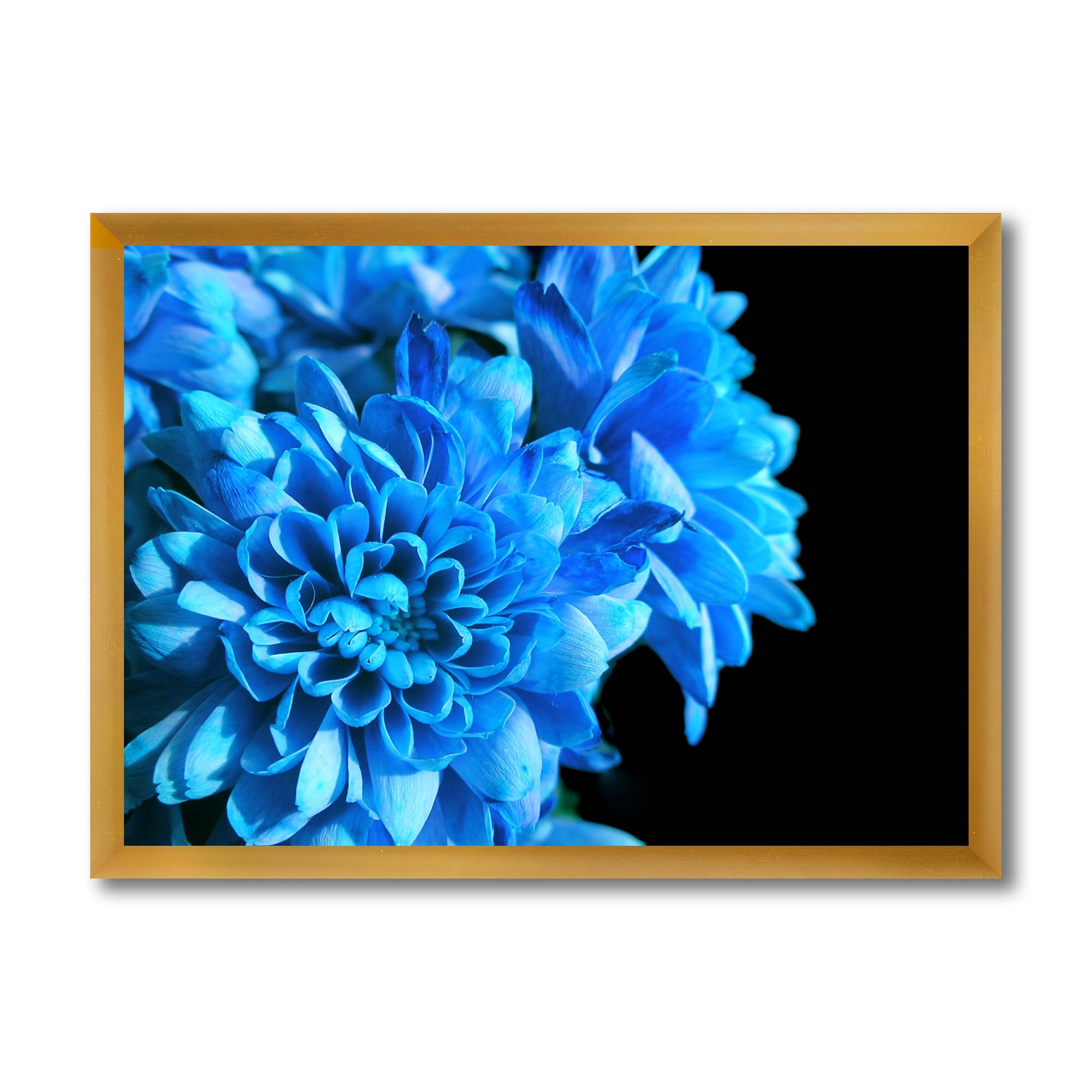 Designart 'Detail of Blue Flowers On Black Background I' Traditional Framed Art Print