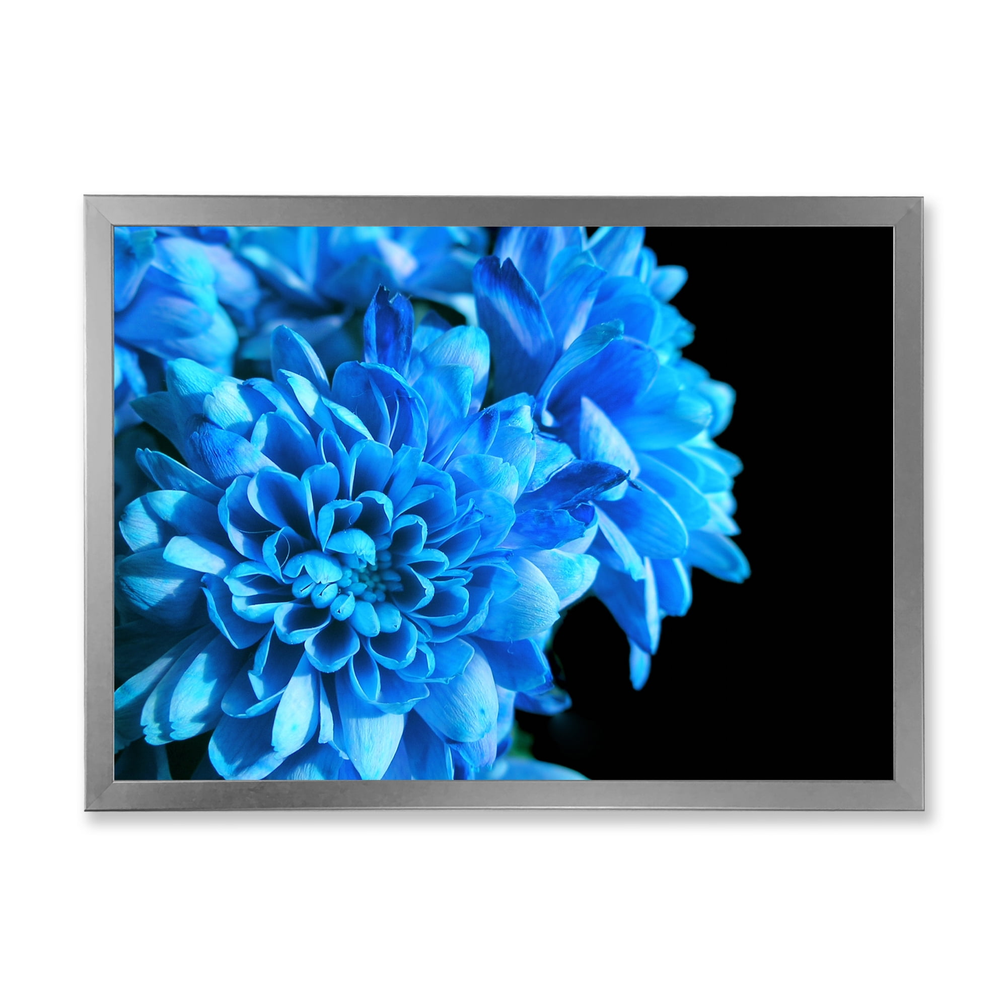 Designart 'Detail of Blue Flowers On Black Background I' Traditional Framed Art Print