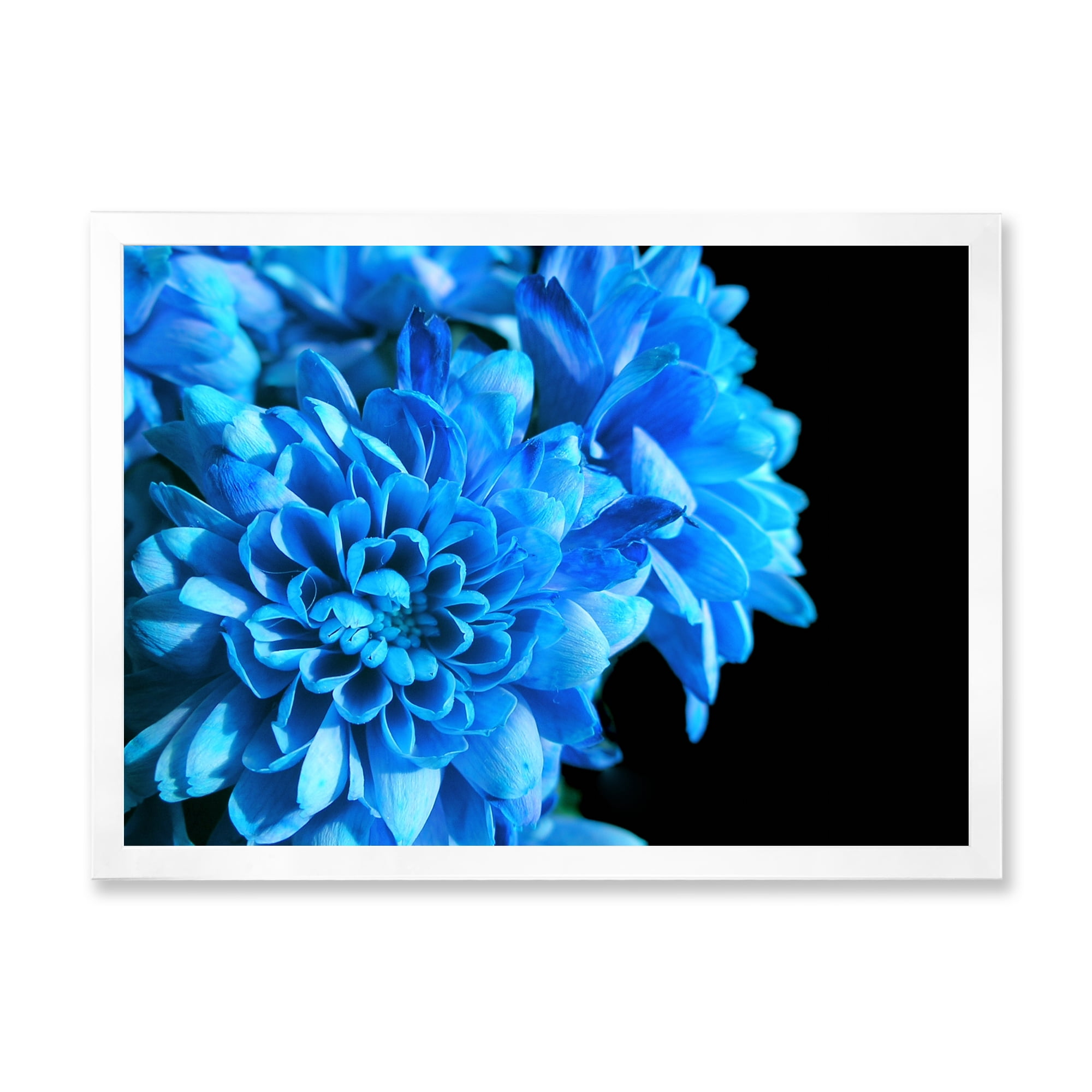 Designart 'Detail of Blue Flowers On Black Background I' Traditional Framed Art Print