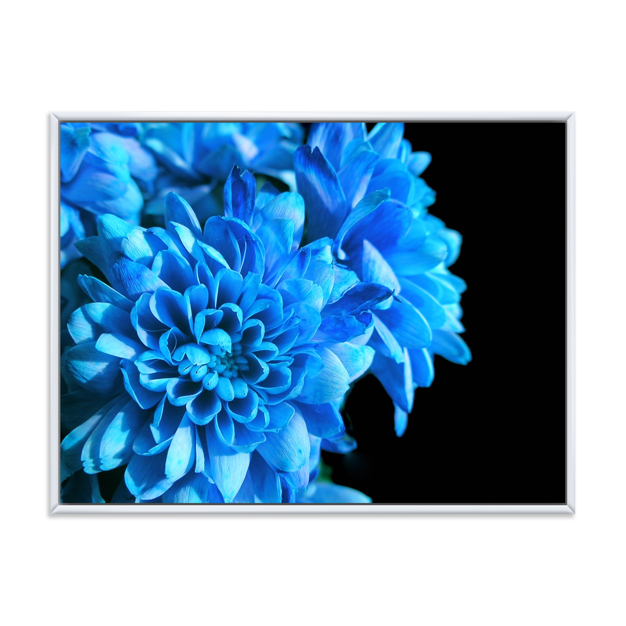 Designart 'Detail of Blue Flowers On Black Background I' Traditional Framed Canvas Wall Art Print