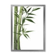 thumbnail image 1 of Designart 'Detail of Dark Green Bamboo and Leaves I' Traditional Framed Art Print, 1 of 4