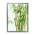 thumbnail image 1 of Designart 'Detail of Dark Green Bamboo and Leaves II' Traditional Framed Art Print, 1 of 4