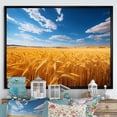 thumbnail image 1 of Designart "Down Under Amber Meadows" Farmhouse Floater Framed Canvas Art Print, 1 of 7