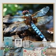 thumbnail image 1 of Designart "Dragonfly Dance in Blue Hues I" Animals Framed Wall Art - Modern Farmhouse Blue Dragonfly Bedroom Framed Canvas Wall Art, 1 of 6