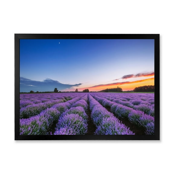 Designart 'Dramatic Clouds and Sunrise Over Lavender Field I' Farmhouse Framed Art Print