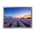 thumbnail image 1 of Designart 'Dramatic Clouds and Sunrise Over Lavender Field I' Farmhouse Framed Art Print, 1 of 4