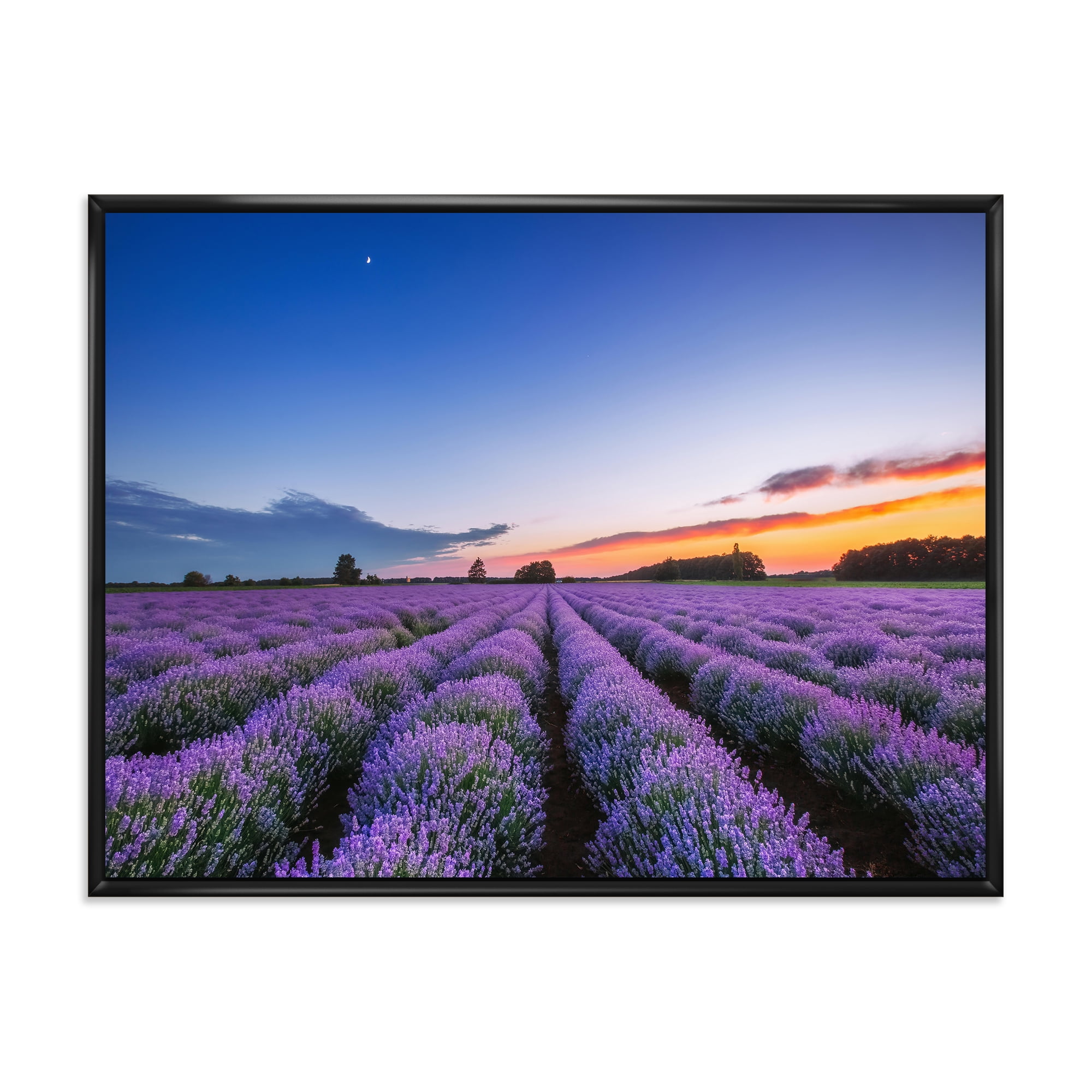 Designart 'Dramatic Clouds and Sunrise Over Lavender Field I' Farmhouse Framed Canvas Wall Art Print