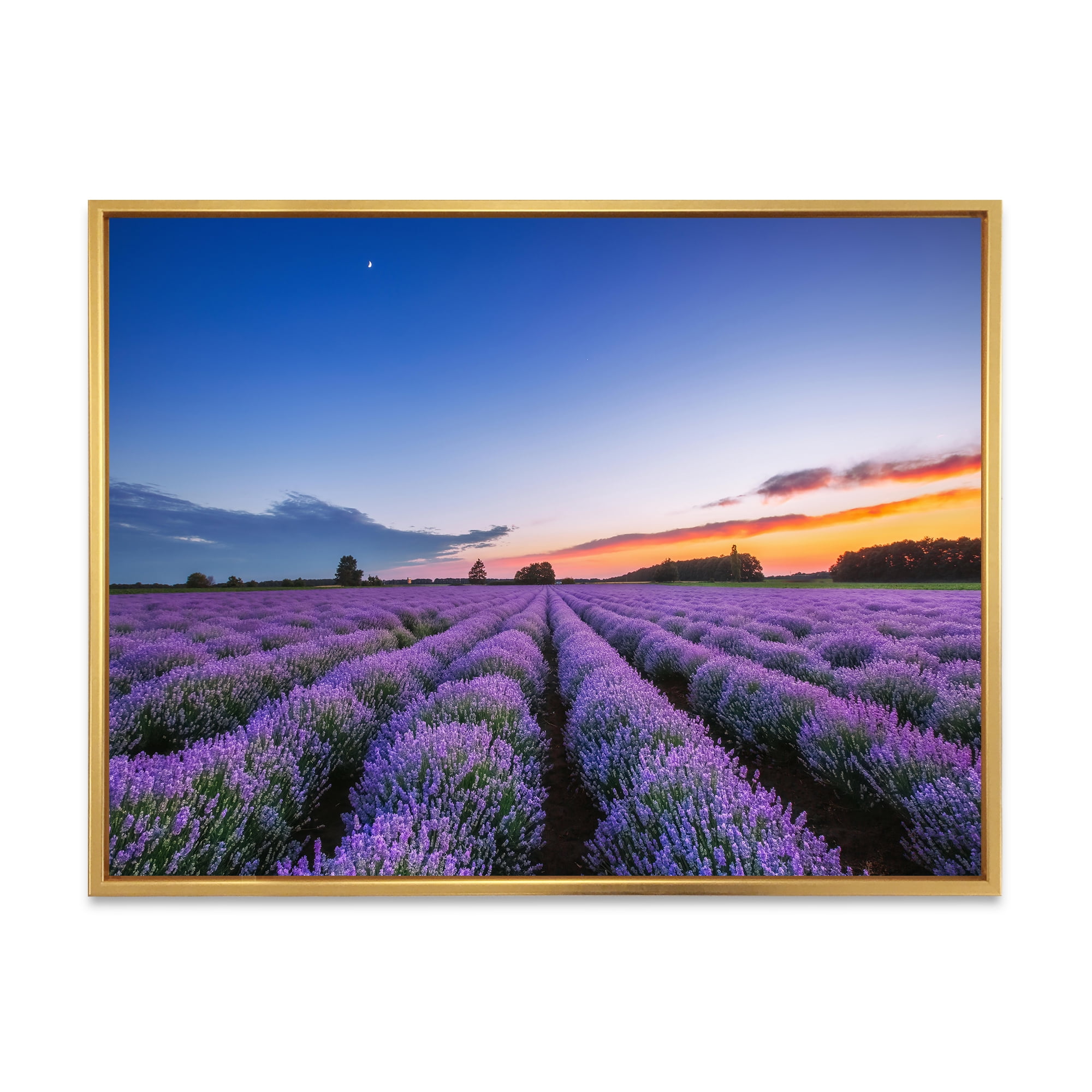 Designart 'Dramatic Clouds and Sunrise Over Lavender Field I' Farmhouse Framed Canvas Wall Art Print