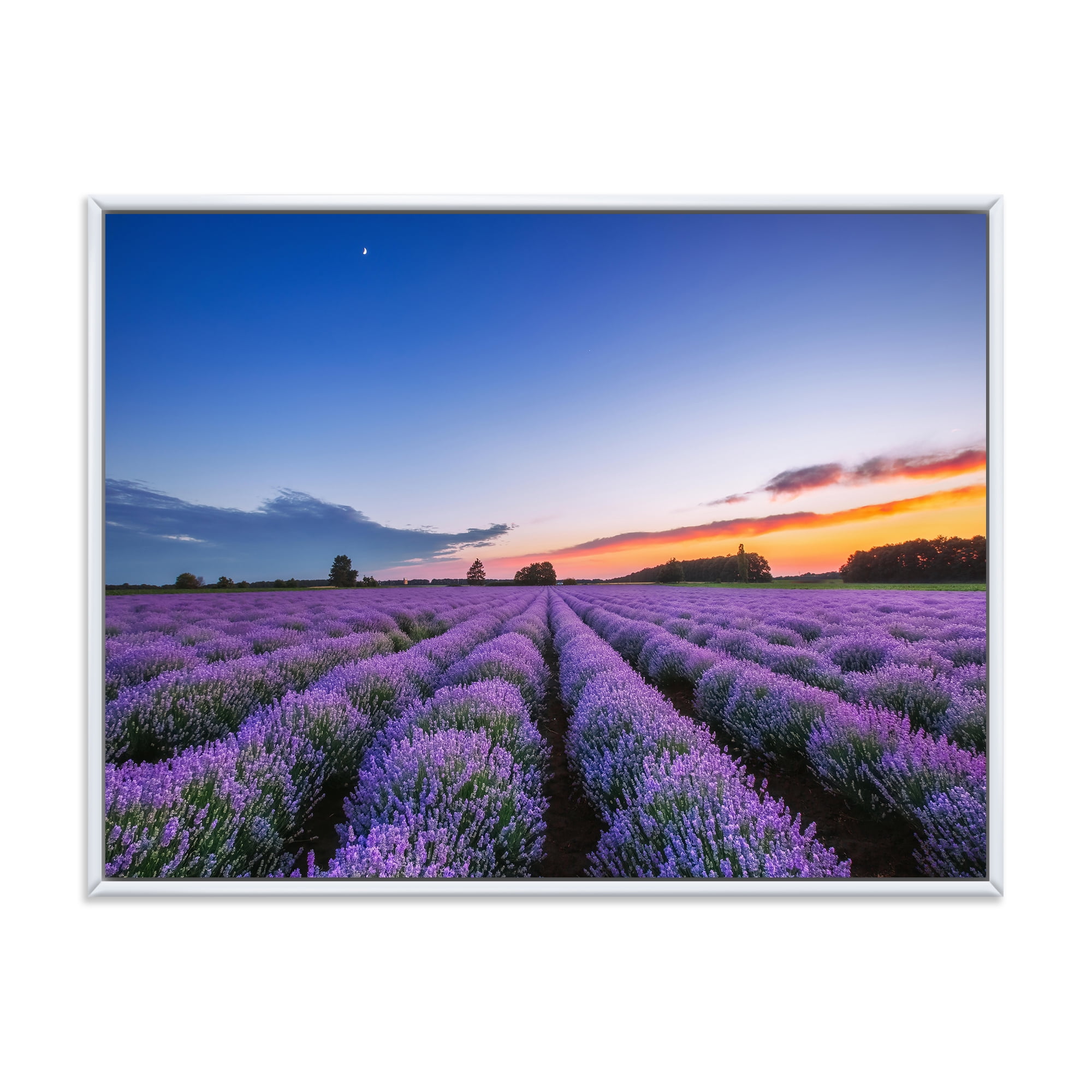 Designart 'Dramatic Clouds and Sunrise Over Lavender Field I' Farmhouse Framed Canvas Wall Art Print