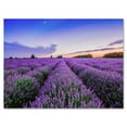 thumbnail image 1 of Designart ' Dramatic Clouds and Sunrise Over Lavender Field II ' Farmhouse Canvas Wall Art Print, 1 of 4