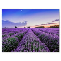 Designart ' Dramatic Clouds and Sunrise Over Lavender Field II ' Farmhouse Canvas Wall Art Print