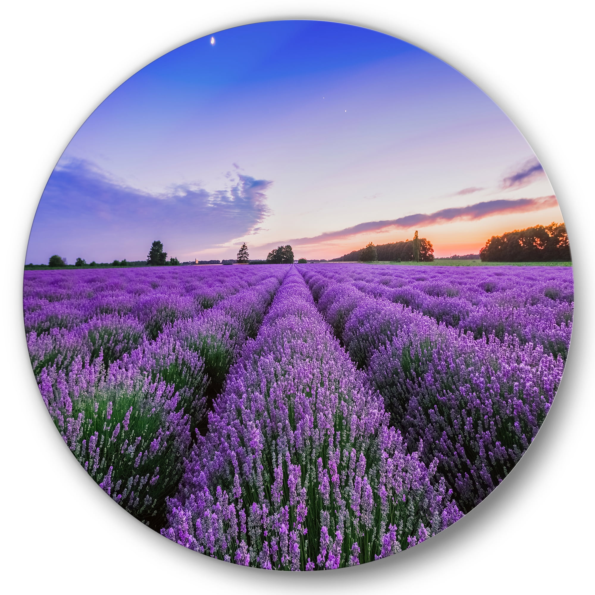 Designart 'Dramatic Clouds and Sunrise Over Lavender Field II' Farmhouse Circle Metal Wall Art 23x23 - Disc of 23