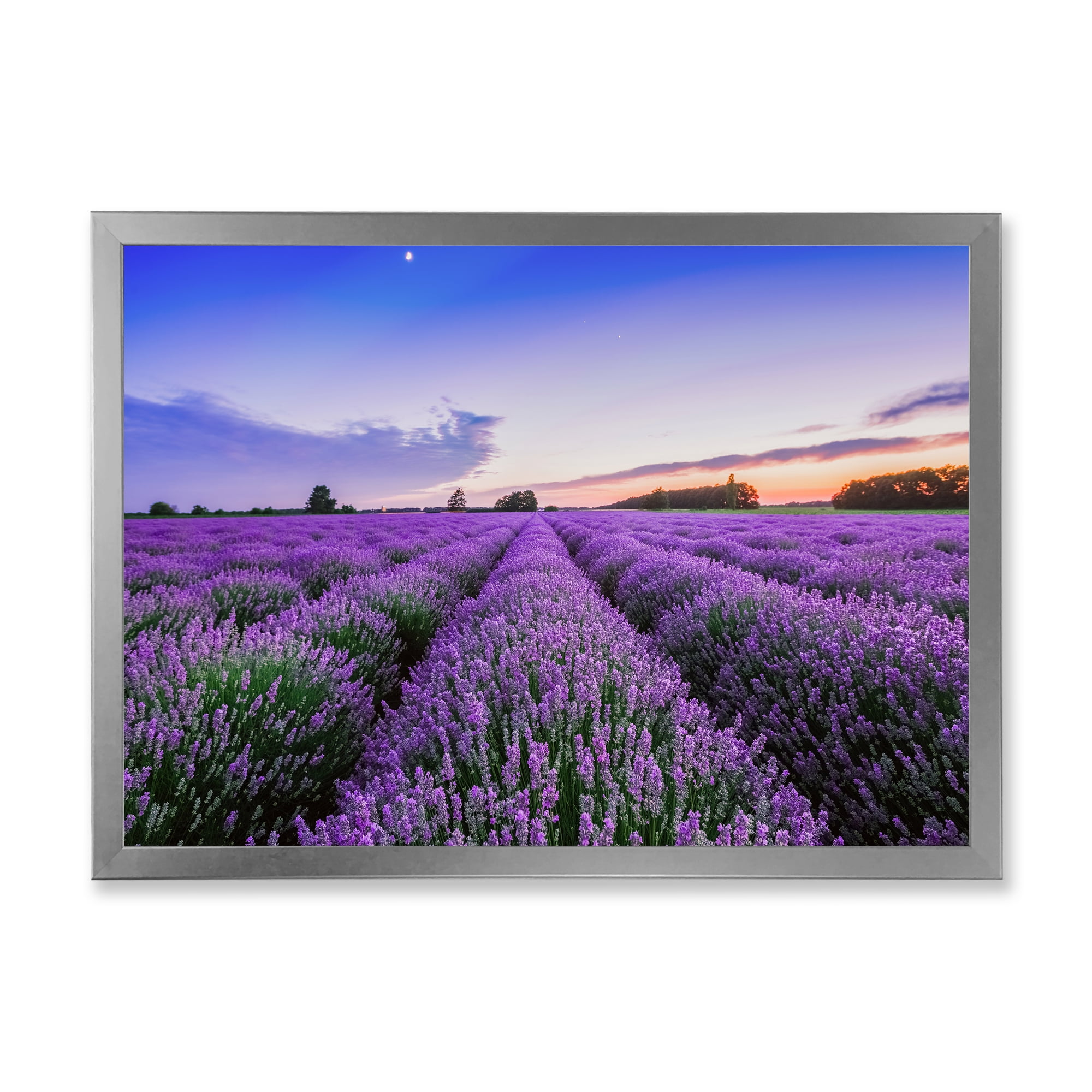 Designart 'Dramatic Clouds and Sunrise Over Lavender Field II' Farmhouse Framed Art Print