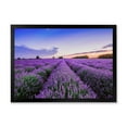 thumbnail image 1 of Designart 'Dramatic Clouds and Sunrise Over Lavender Field II' Farmhouse Framed Art Print, 1 of 4