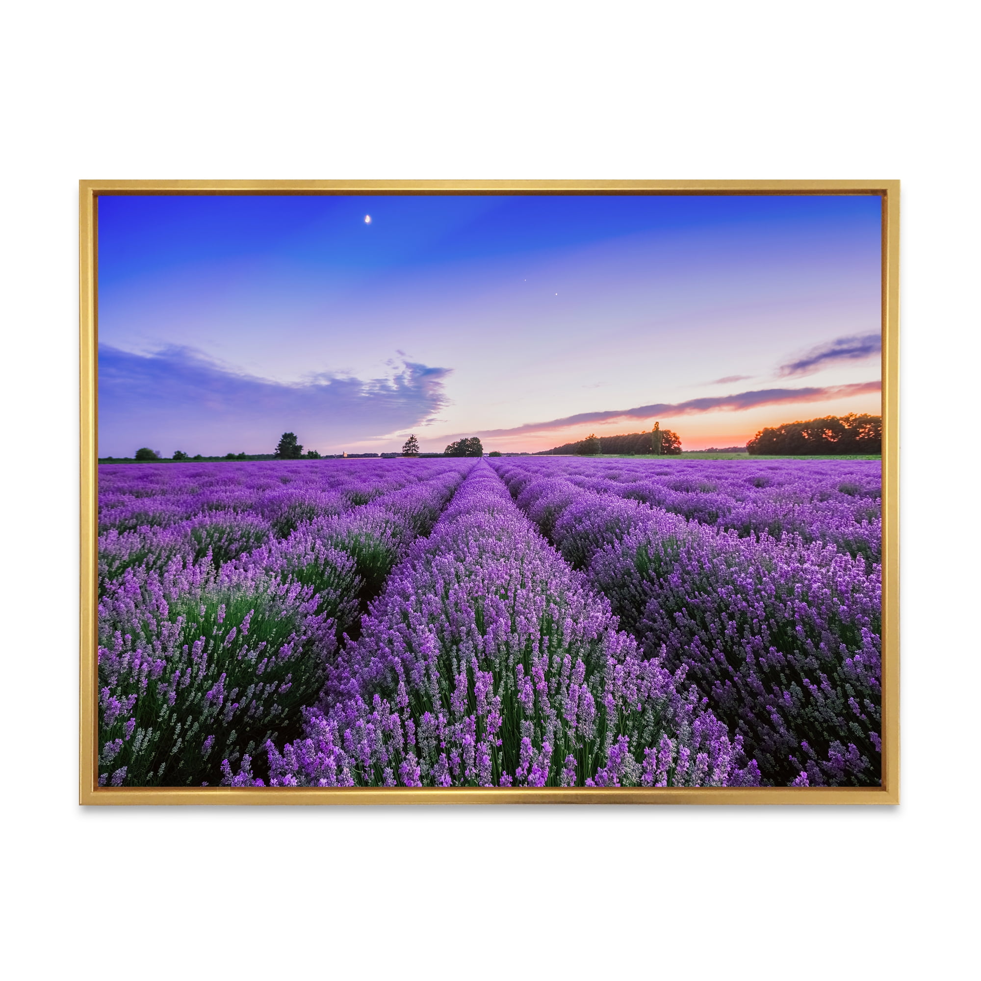 Designart 'Dramatic Clouds and Sunrise Over Lavender Field II' Farmhouse Framed Canvas Wall Art Print