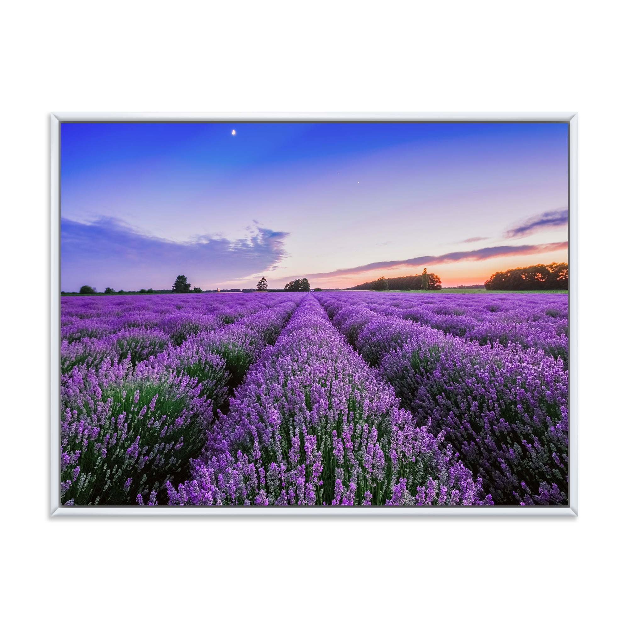 Designart 'Dramatic Clouds and Sunrise Over Lavender Field II' Farmhouse Framed Canvas Wall Art Print