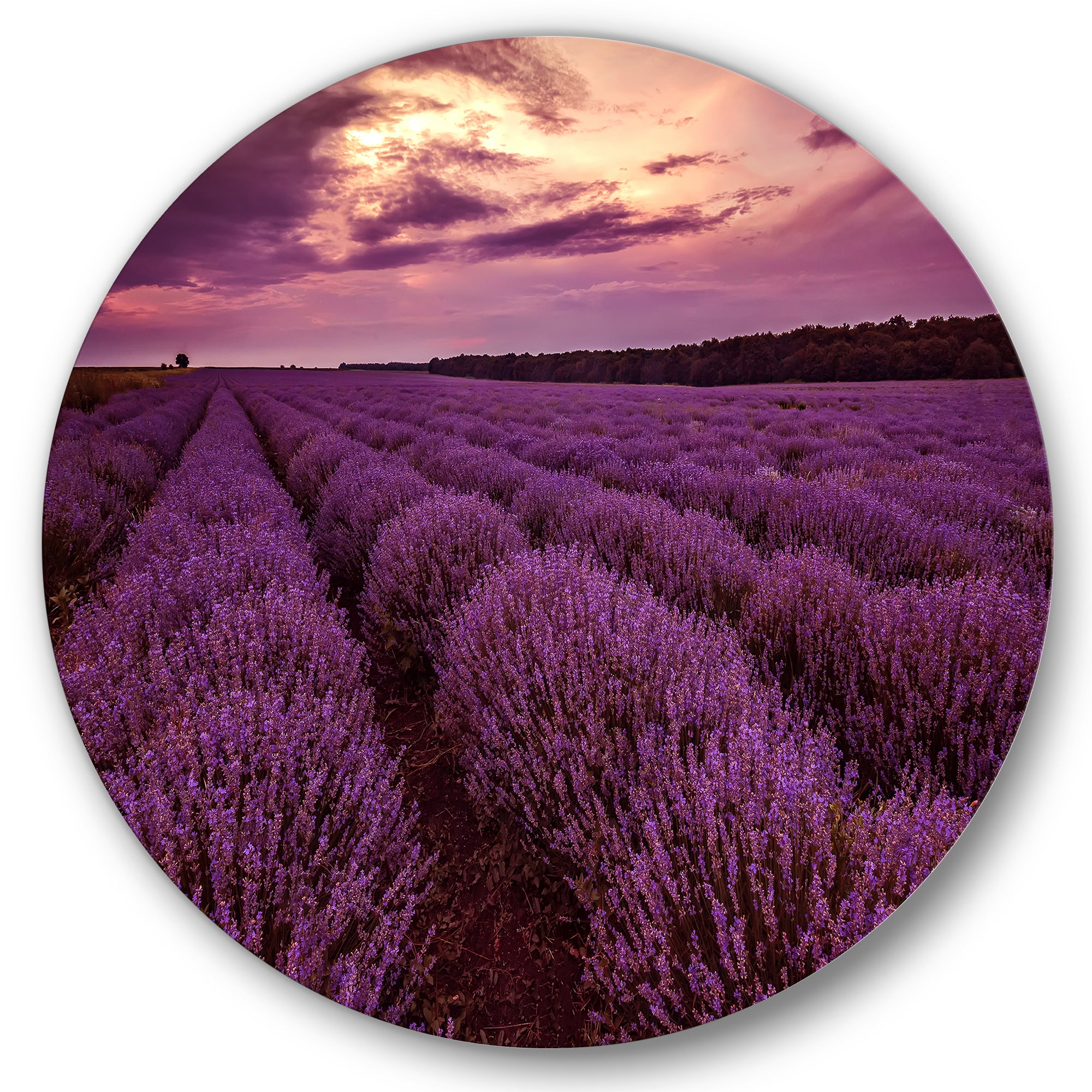 Designart 'Dramatic Clouds and Sunrise Over Lavender Field III' Farmhouse Circle Metal Wall Art 29x29 - Disc of 29