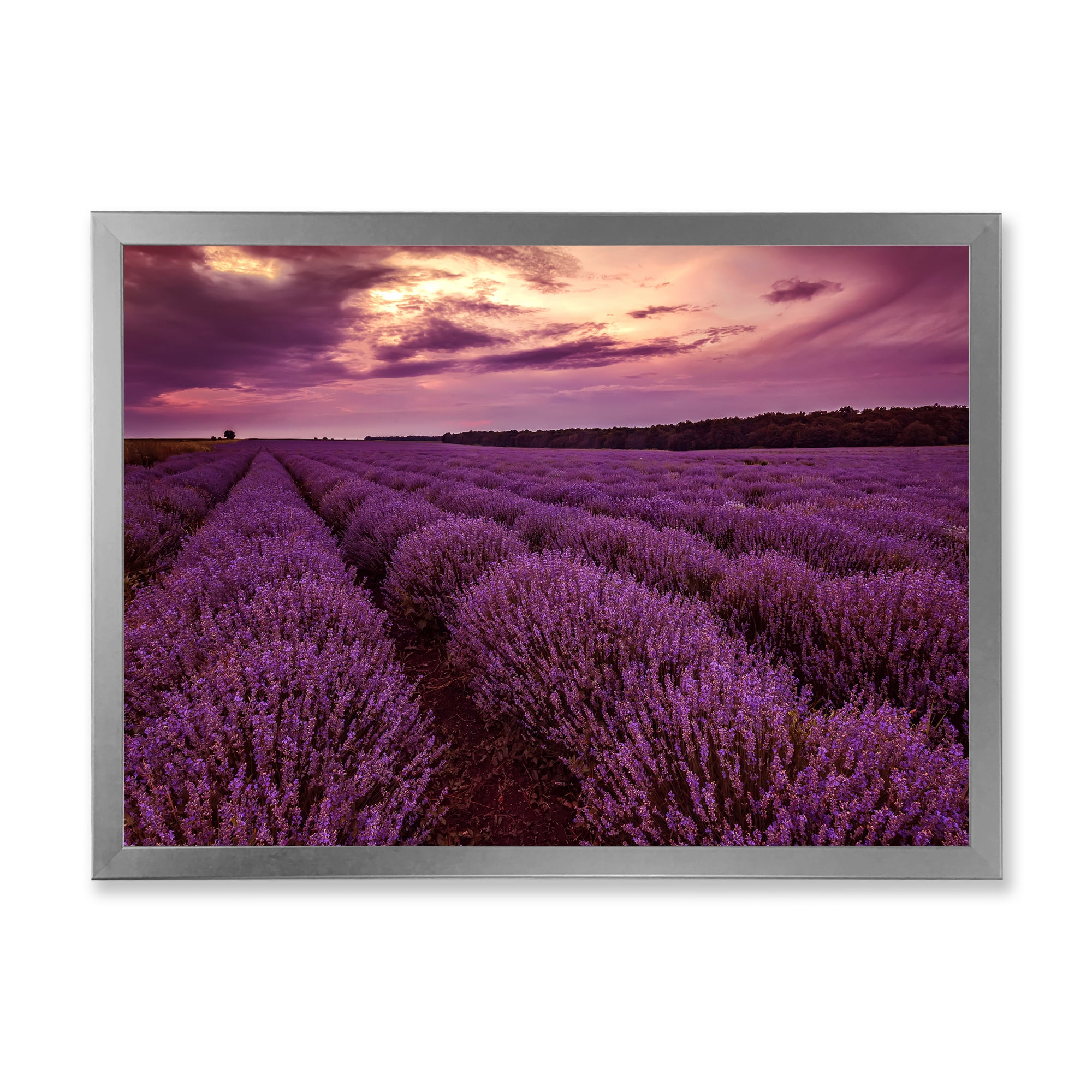 Designart 'Dramatic Clouds and Sunrise Over Lavender Field III' Farmhouse Framed Art Print