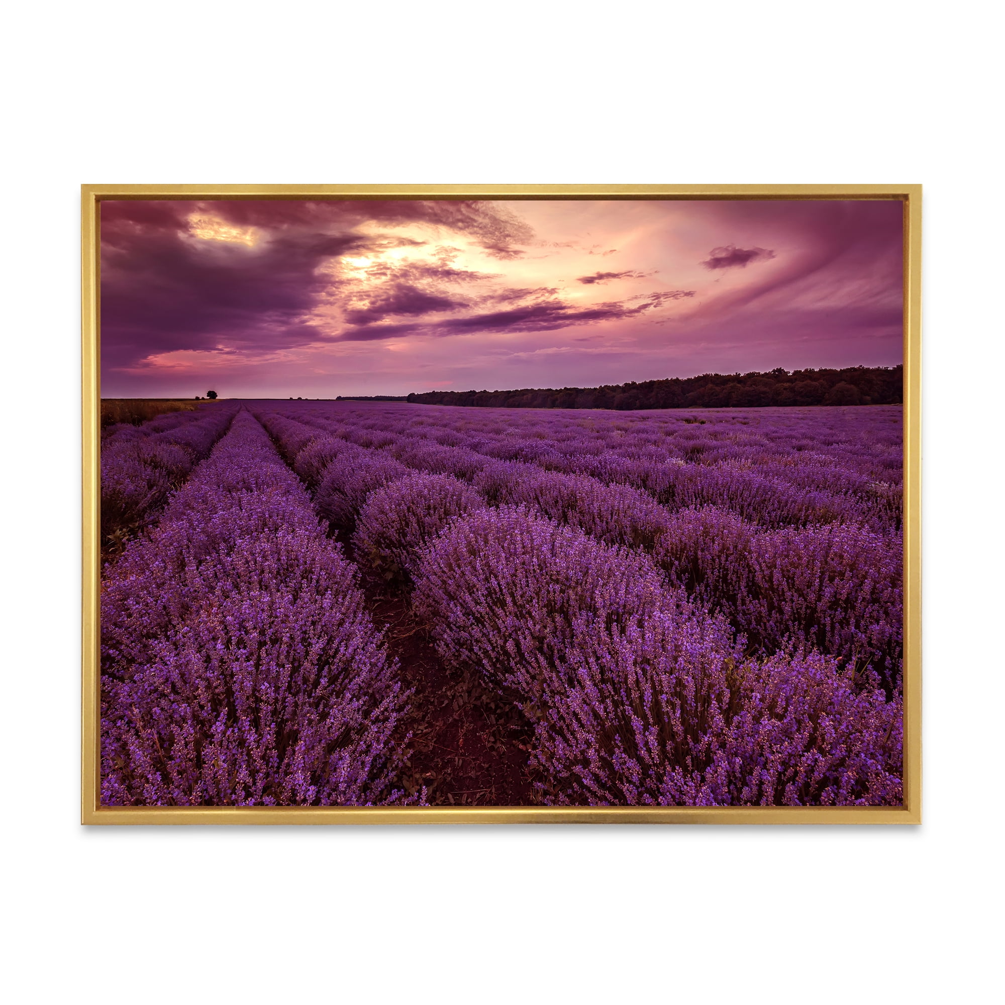 Designart 'Dramatic Clouds and Sunrise Over Lavender Field III' Farmhouse Framed Canvas Wall Art Print
