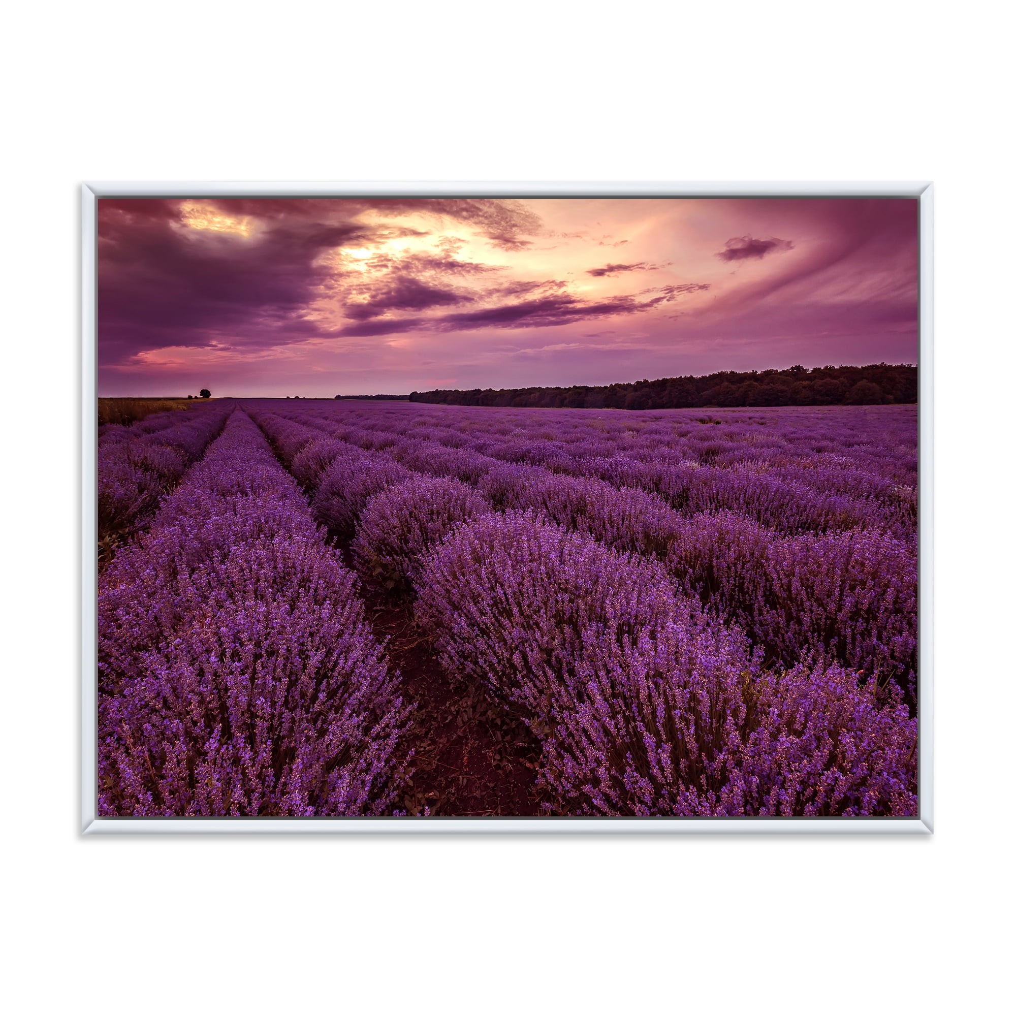 Designart 'Dramatic Clouds and Sunrise Over Lavender Field III' Farmhouse Framed Canvas Wall Art Print
