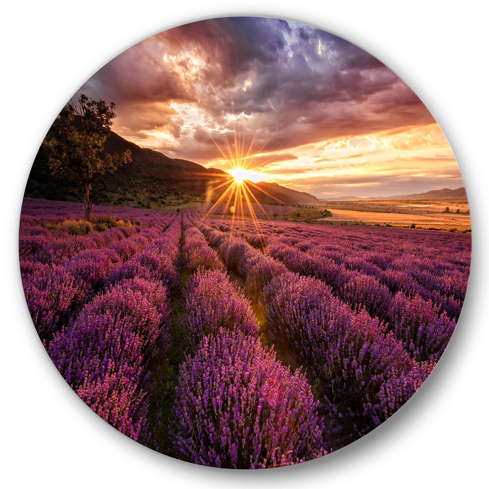 Designart 'Dramatic Clouds and Sunrise Over Lavender Field IV' Farmhouse Circle Metal Wall Art 29x29 - Disc of 29