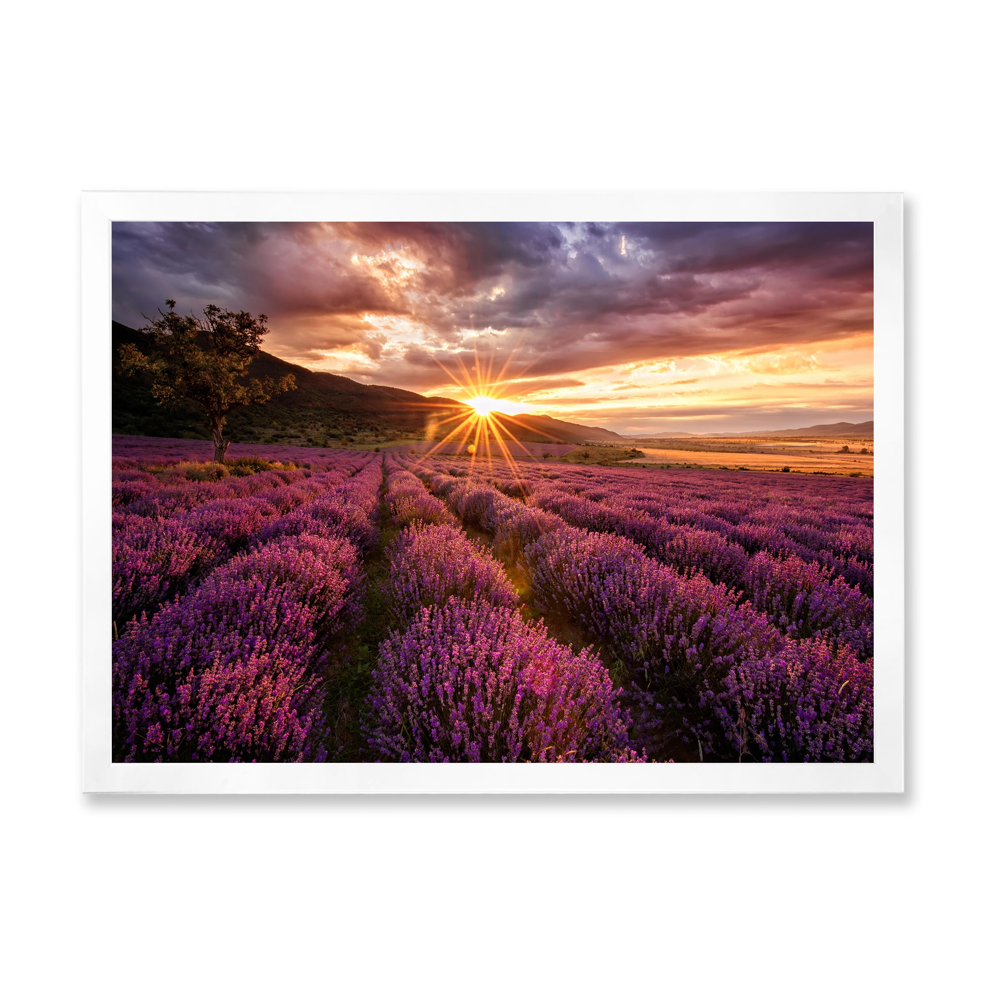 Designart 'Dramatic Clouds and Sunrise Over Lavender Field IV' Farmhouse Framed Art Print