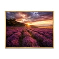 thumbnail image 1 of Designart 'Dramatic Clouds and Sunrise Over Lavender Field IV' Farmhouse Framed Canvas Wall Art Print, 1 of 5