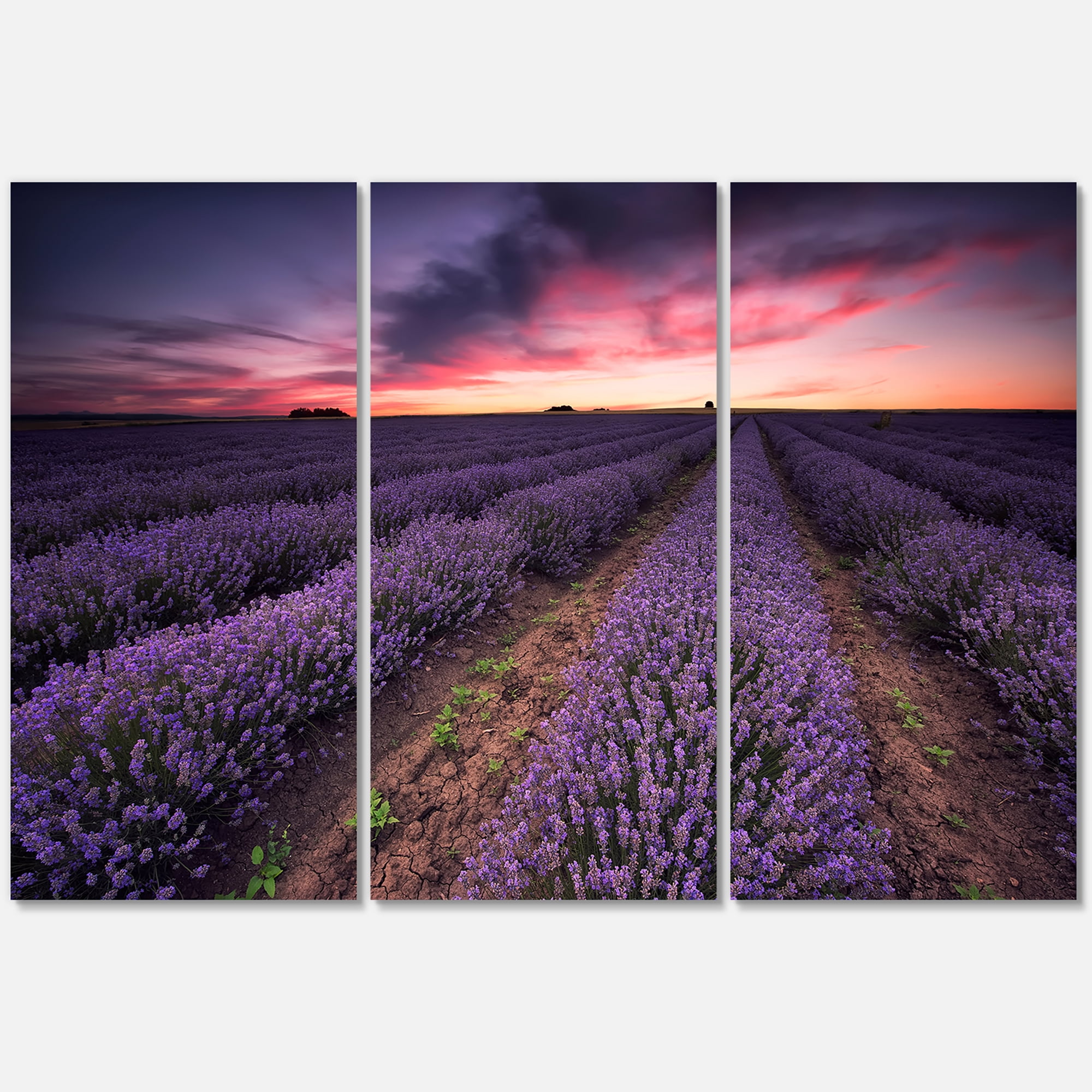 Designart ' Dramatic Clouds and Sunrise Over Lavender Field IX ' Farmhouse Canvas Wall Art Print