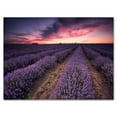 thumbnail image 1 of Designart ' Dramatic Clouds and Sunrise Over Lavender Field IX ' Farmhouse Canvas Wall Art Print, 1 of 4