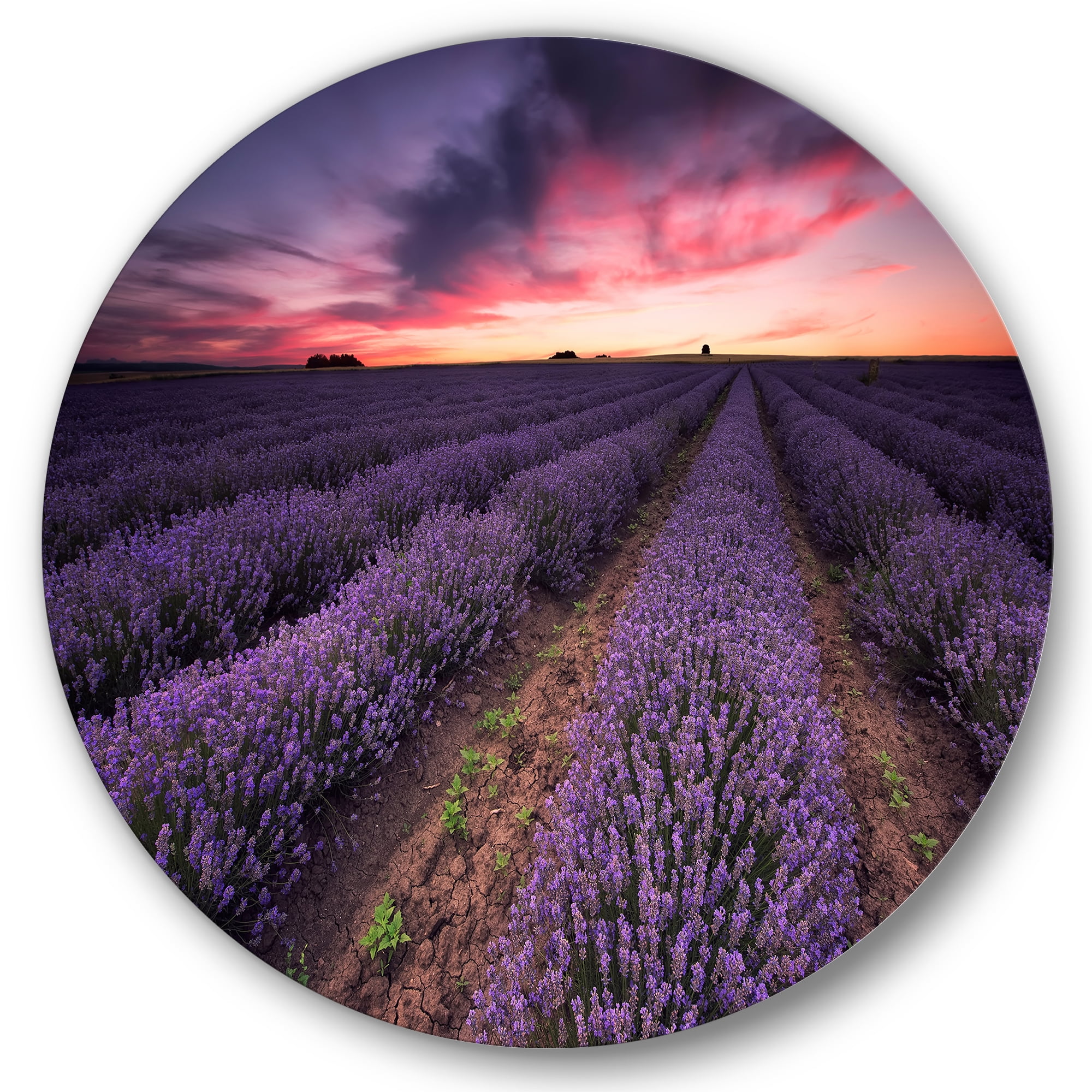Designart 'Dramatic Clouds and Sunrise Over Lavender Field IX' Farmhouse Circle Metal Wall Art 36x36 - Disc of 36