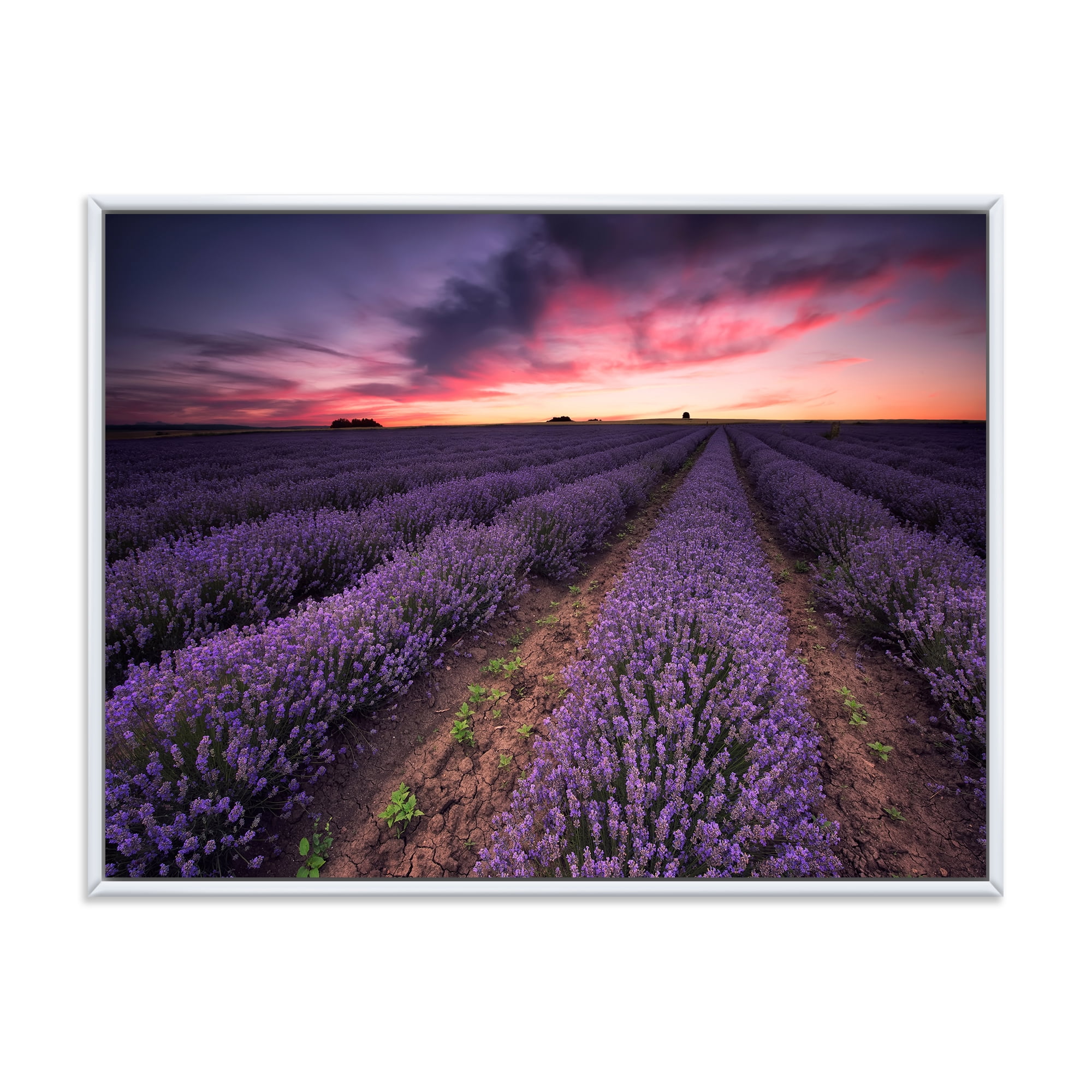 Designart 'Dramatic Clouds and Sunrise Over Lavender Field IX' Farmhouse Framed Canvas Wall Art Print