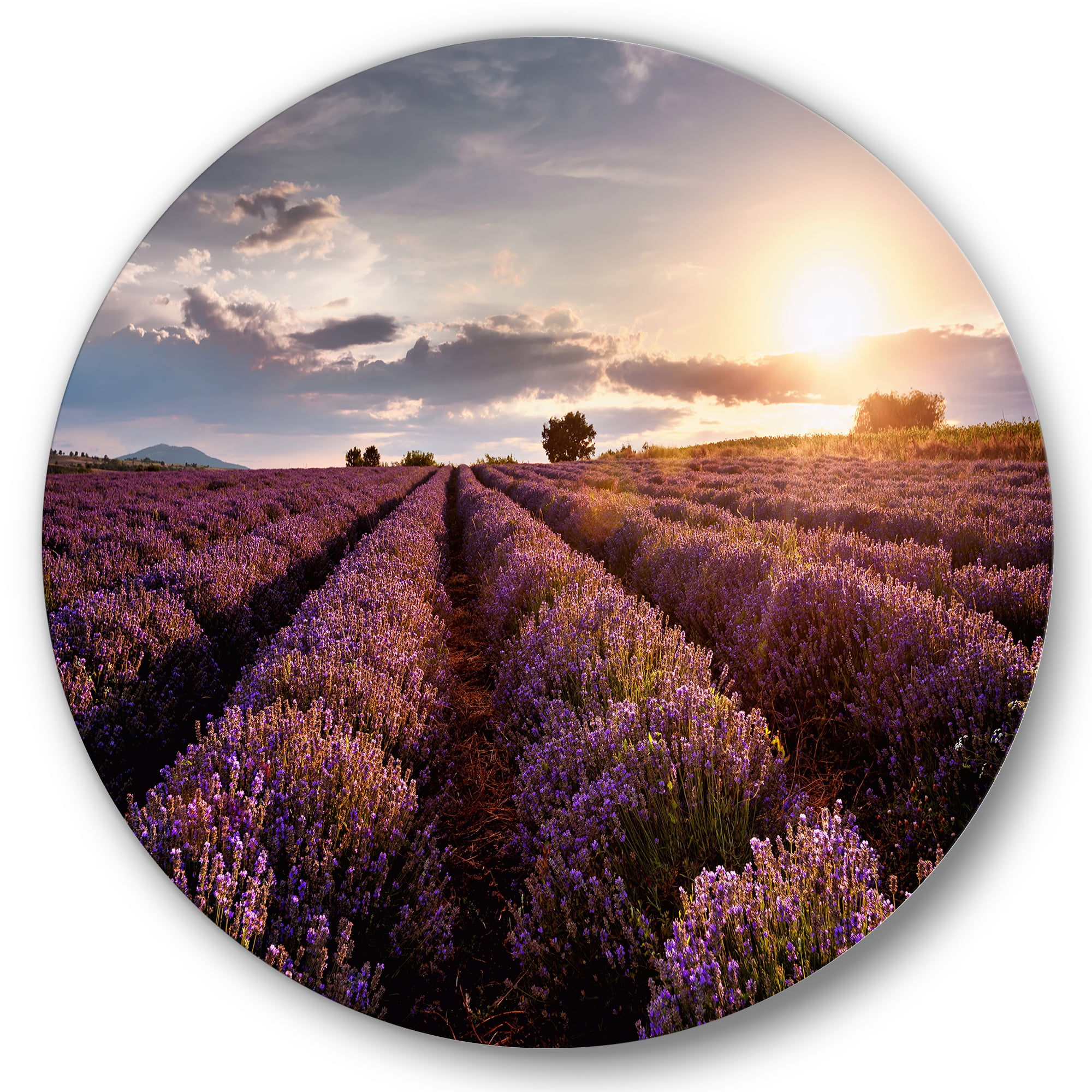 Designart 'Dramatic Clouds and Sunrise Over Lavender Field V' Farmhouse Circle Metal Wall Art 11x11 - Disc of 11