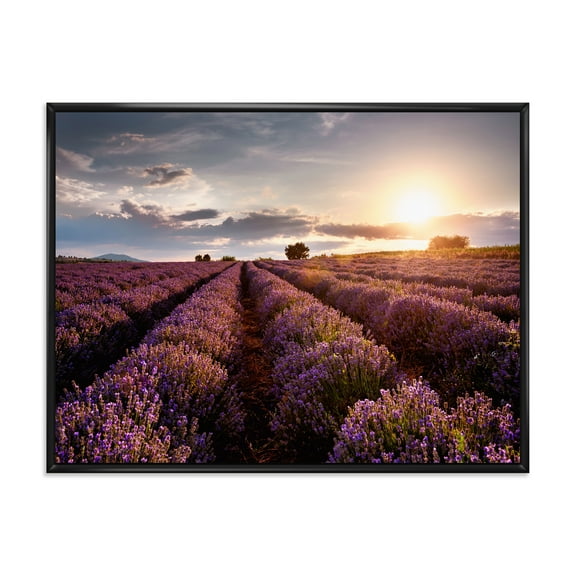 Designart 'Dramatic Clouds and Sunrise Over Lavender Field V' Farmhouse Framed Canvas Wall Art Print