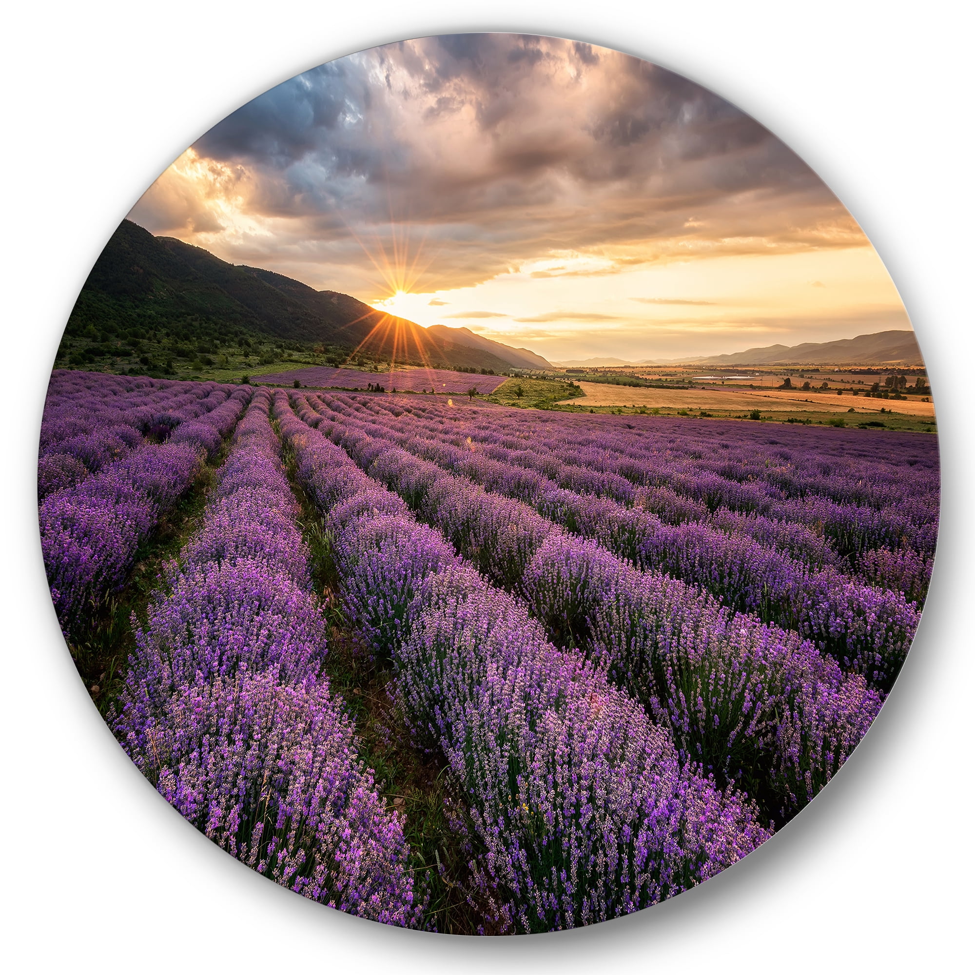 Designart 'Dramatic Clouds and Sunrise Over Lavender Field VI' Farmhouse Circle Metal Wall Art 29x29 - Disc of 29