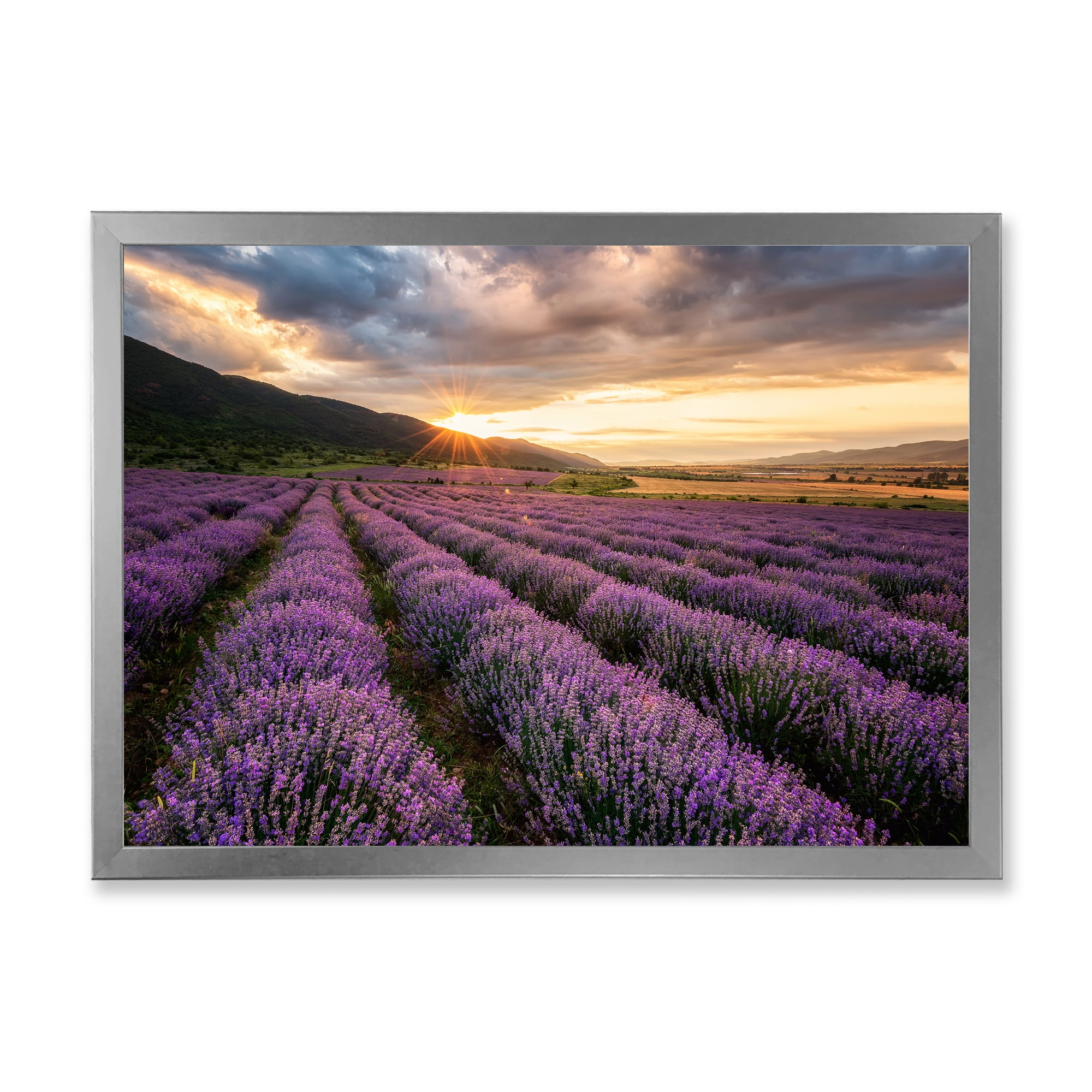 Designart 'Dramatic Clouds and Sunrise Over Lavender Field VI' Farmhouse Framed Art Print