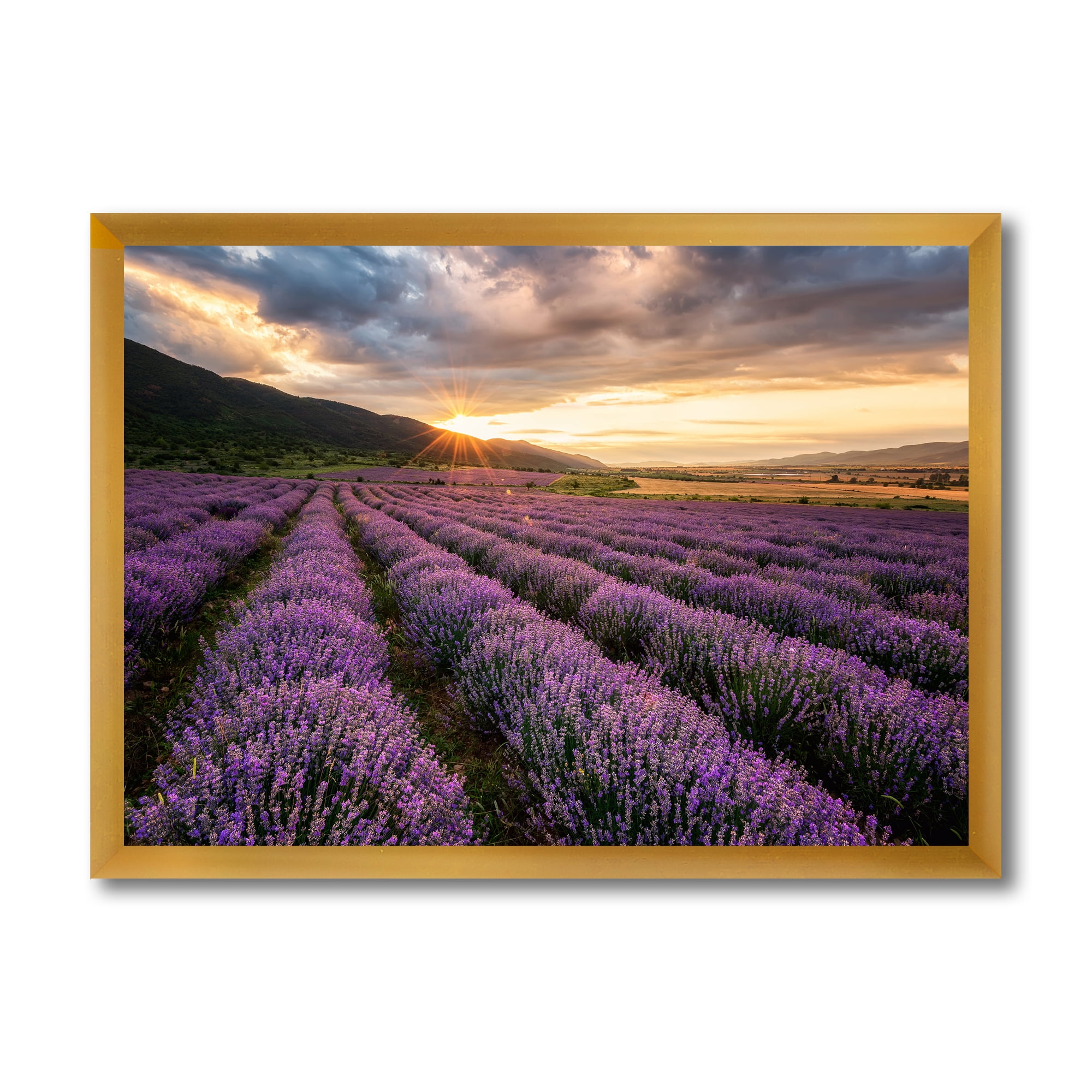 Designart 'Dramatic Clouds and Sunrise Over Lavender Field VI' Farmhouse Framed Art Print