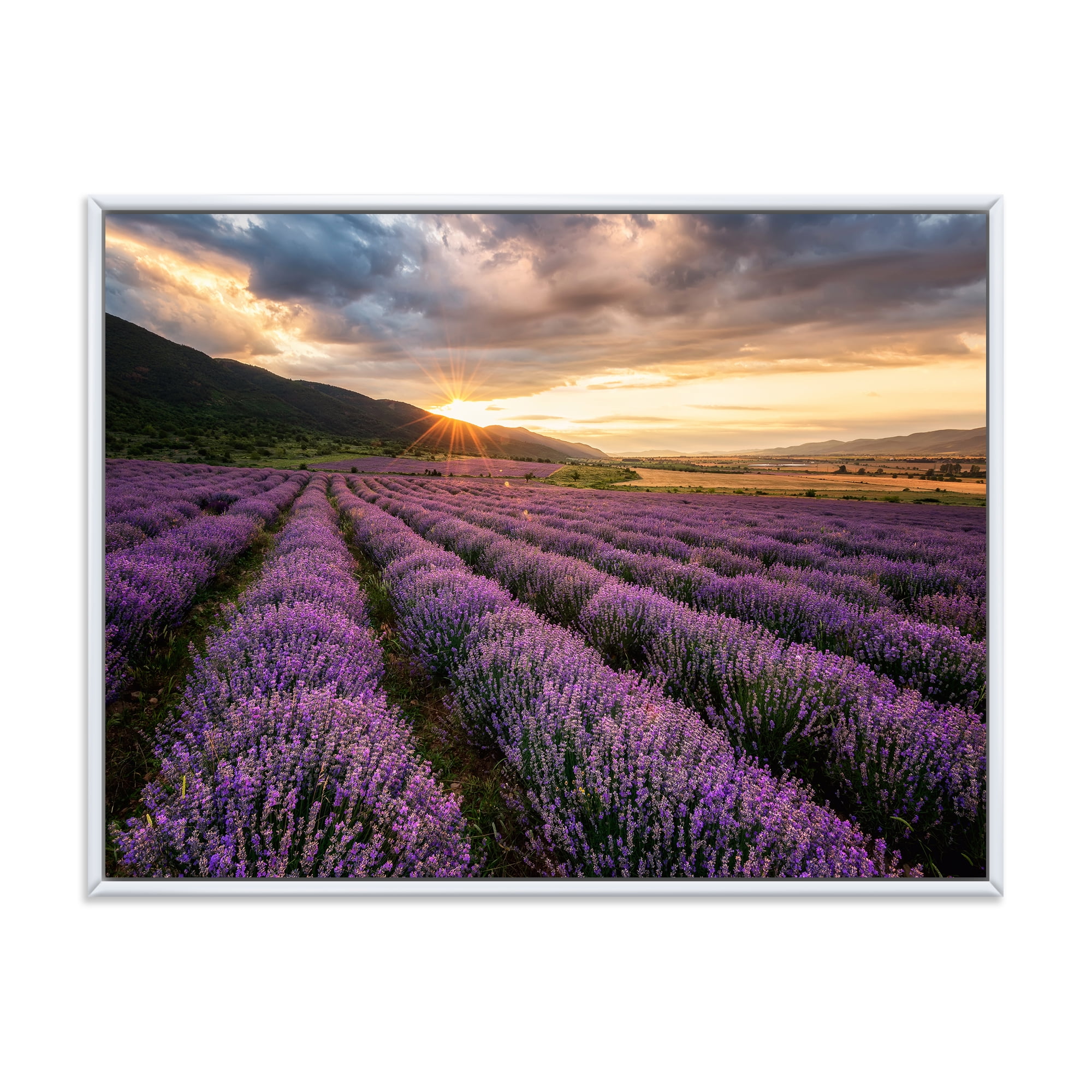 Designart 'Dramatic Clouds and Sunrise Over Lavender Field VI' Farmhouse Framed Canvas Wall Art Print