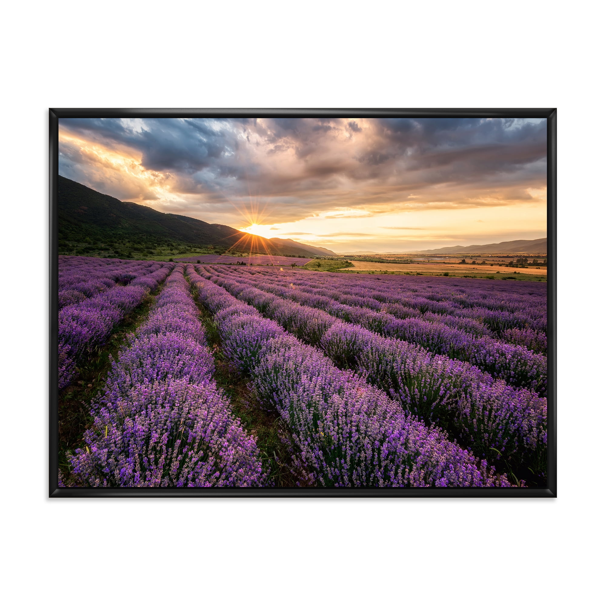 Designart 'Dramatic Clouds and Sunrise Over Lavender Field VI' Farmhouse Framed Canvas Wall Art Print