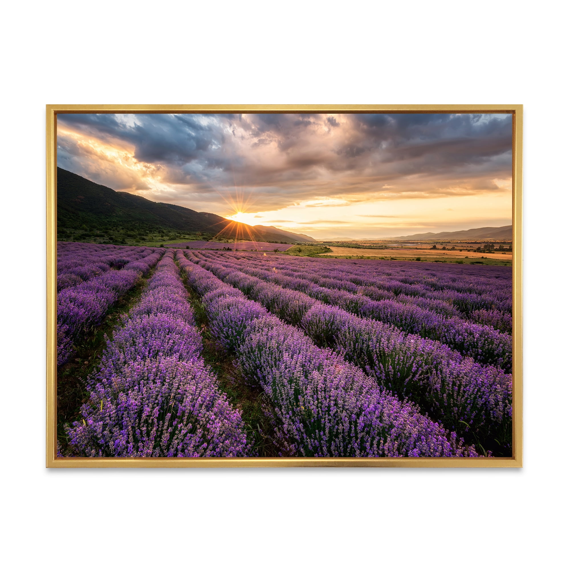 Designart 'Dramatic Clouds and Sunrise Over Lavender Field VI' Farmhouse Framed Canvas Wall Art Print
