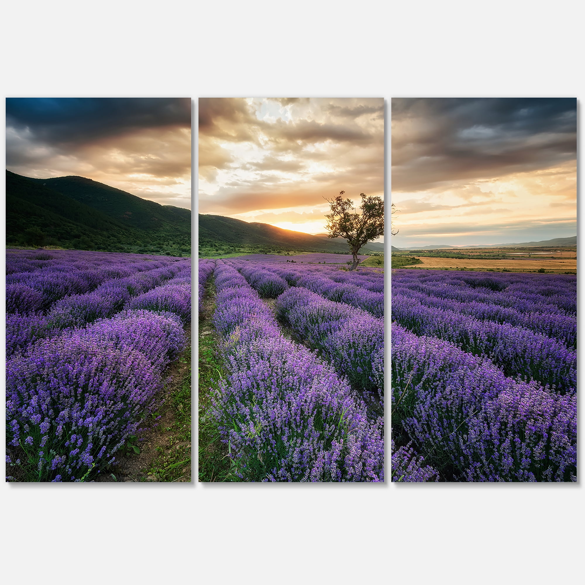 Designart ' Dramatic Clouds and Sunrise Over Lavender Field VII ' Farmhouse Canvas Wall Art Print