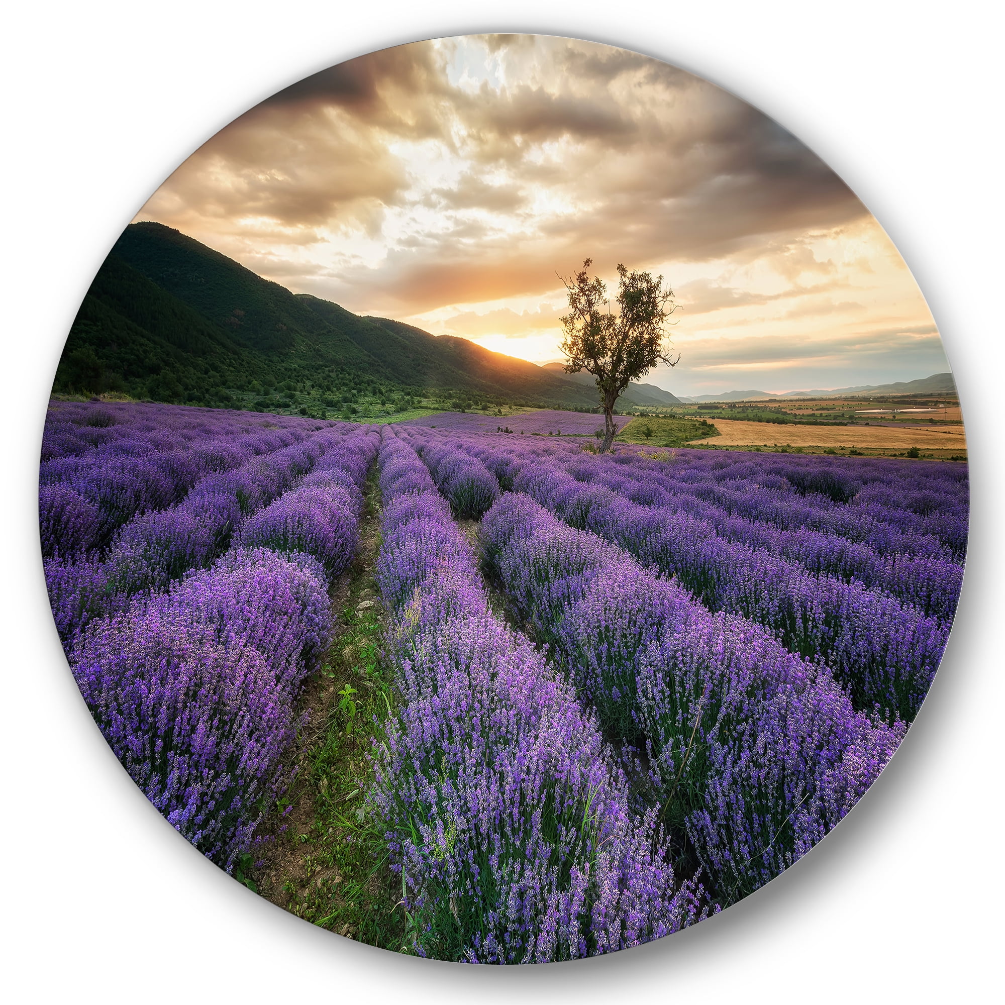 Designart 'Dramatic Clouds and Sunrise Over Lavender Field VII' Farmhouse Circle Metal Wall Art 11x11 - Disc of 11