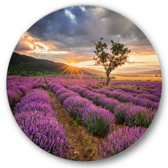 Designart 'Dramatic Clouds and Sunrise Over Lavender Field VIII' Farmhouse Circle Metal Wall Art 11x11 - Disc of 11